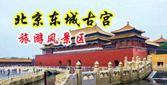 肥胖美女操大逼视频中国北京-东城古宫旅游风景区